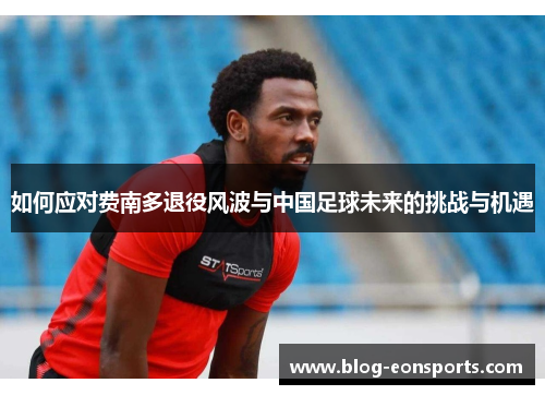 如何应对费南多退役风波与中国足球未来的挑战与机遇