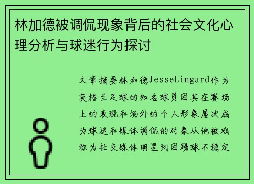 林加德被调侃现象背后的社会文化心理分析与球迷行为探讨