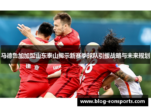 马德鲁加加盟山东泰山揭示新赛季球队引援战略与未来规划