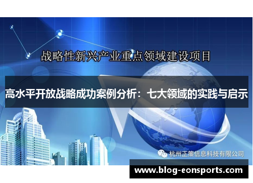 高水平开放战略成功案例分析：七大领域的实践与启示